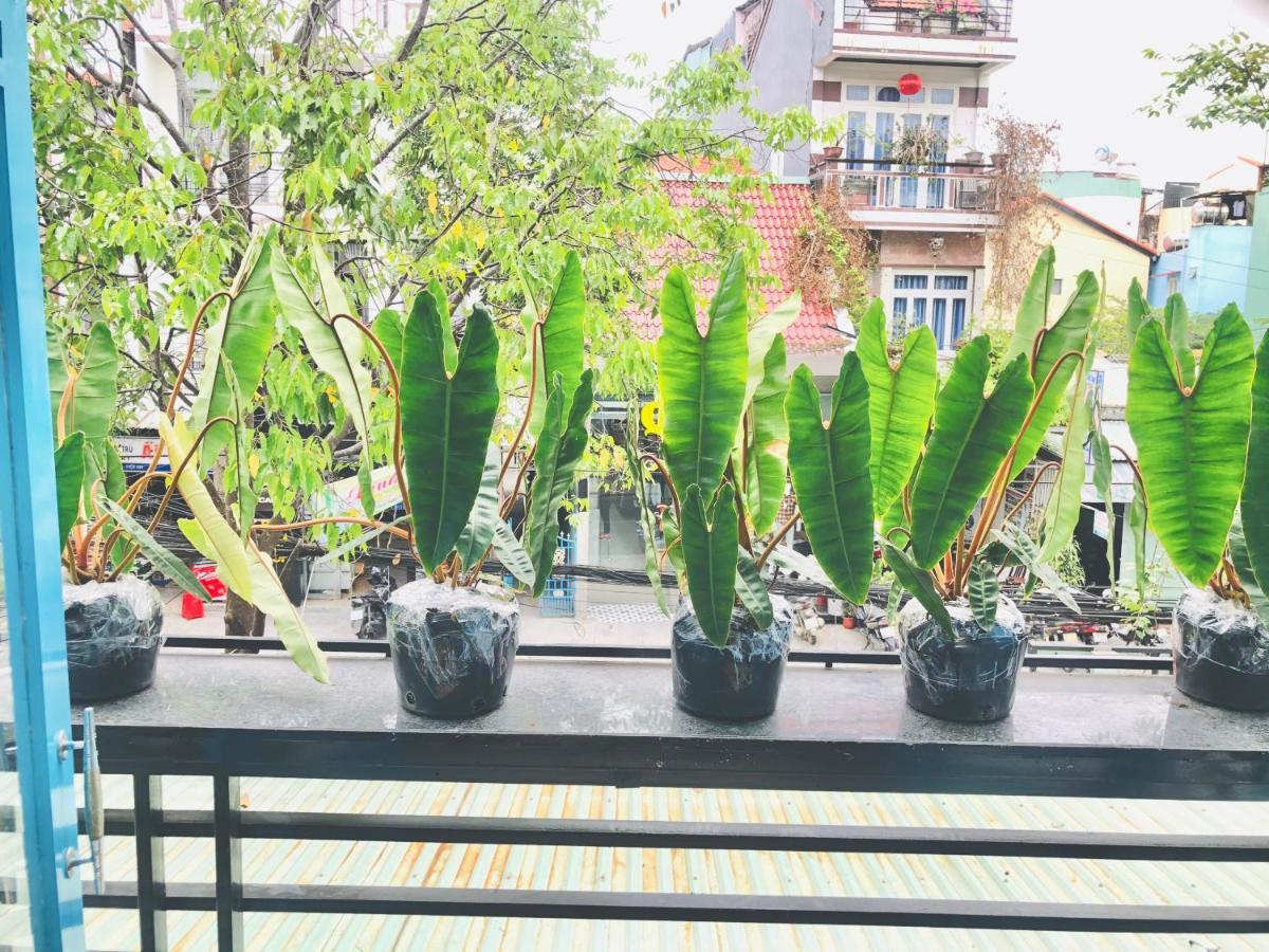 An'S Family Homestay Hoi An - 5Mins Walk To Hoi An Ancient Town Kültér fotó