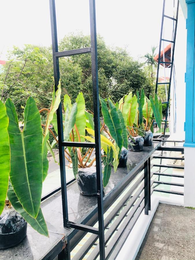 An'S Family Homestay Hoi An - 5Mins Walk To Hoi An Ancient Town Kültér fotó